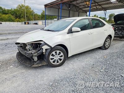 2016 TOYOTA COROLLA L 2T1BURHE3GC485378 - główne zdjęcie licytacji z USA - miniatura