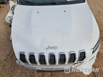 Zdjęcie 12 z 13 samochodu: 2017 JEEP CHEROKEE LIMITED VIN:1C4PJMDS3HW524668 - miniatura