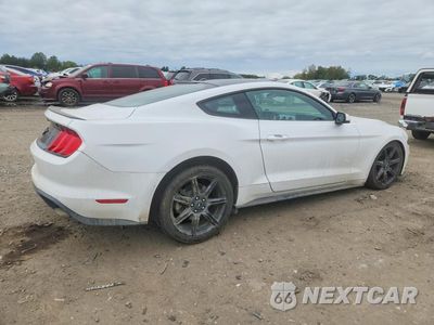 Trzecie zdjęcie samochodu z tyłu: 2019 FORD MUSTANG VIN:1FA6P8TH1K5133240 - miniatura