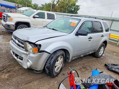2011 FORD ESCAPE XLT 1FMCU0DG7BKC29741 - główne zdjęcie licytacji z USA - miniatura