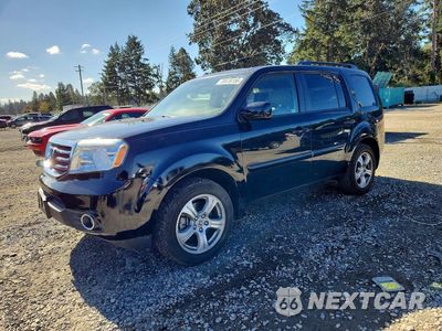 2013 HONDA PILOT EXL 5FNYF4H51DB031466 - główne zdjęcie licytacji z USA - miniatura