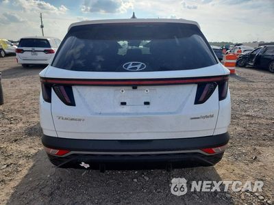 Zdjęcie 6 z 13 samochodu: 2024 HYUNDAI TUCSON SEL CONVENIENCE VIN:KM8JCCD1XRU205746 - miniatura