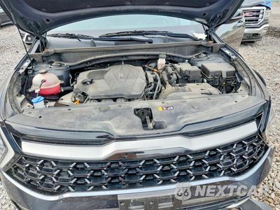 Zdjęcie 11 z 12 samochodu: 2024 KIA SPORTAGE X LINE VIN:5XYK6CDF6RG141170 - miniatura