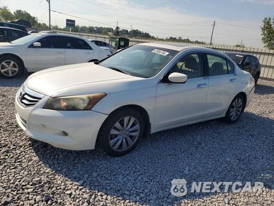 2011 HONDA ACCORD EXL 5KBCP3F84BB002962 - główne zdjęcie licytacji z USA - miniatura