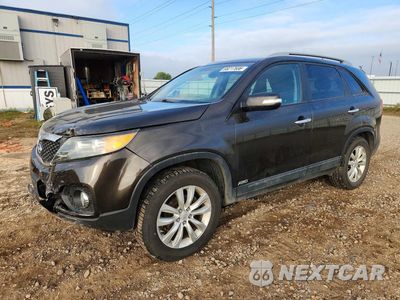 2011 KIA SORENTO EX 5XYKUCA13BG168671 - główne zdjęcie licytacji z USA - miniatura
