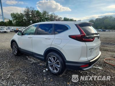 Drugie zdjęcie samochodu z przodu: 2020 HONDA CR-V EX VIN:7FARW2H52LE010900 - miniatura