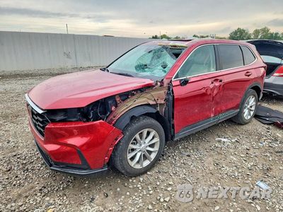 2024 HONDA CR-V EX 5J6RS4H41RL010221 - główne zdjęcie licytacji z USA - miniatura
