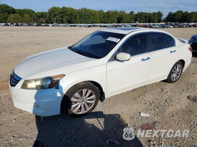 2011 HONDA ACCORD EXL 5KBCP3F81BB002000 - główne zdjęcie licytacji z USA - miniatura
