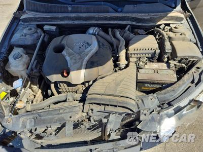 Zdjęcie 11 z 12 samochodu: 2011 KIA OPTIMA SX VIN:KNAGR4A61B5135943 - miniatura