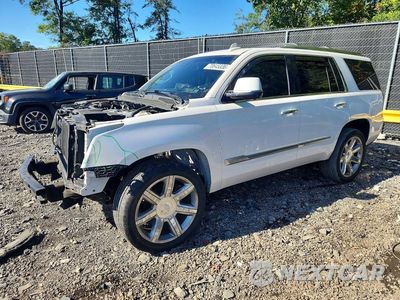 2018 CADILLAC ESCALADE LUXURY 1GYS4BKJ5JR384945 - główne zdjęcie licytacji z USA - miniatura