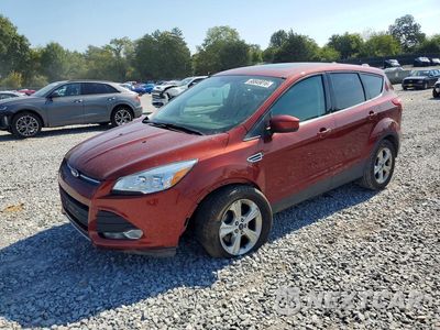 2015 FORD ESCAPE SE 1FMCU0GX5FUB24685 - główne zdjęcie licytacji z USA - miniatura