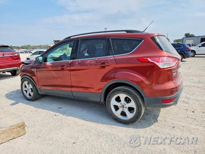 Drugie zdjęcie samochodu z przodu: 2014 FORD ESCAPE SE VIN:1FMCU0GX8EUB12447 - miniatura