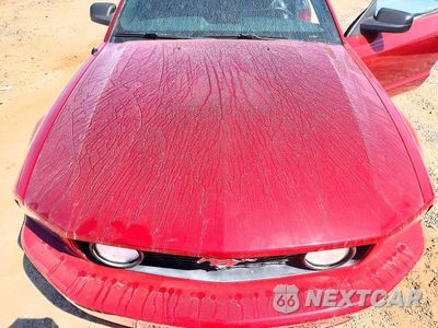 Zdjęcie 11 z 12 samochodu: 2007 FORD MUSTANG GT VIN:1ZVHT82H575219266 - miniatura