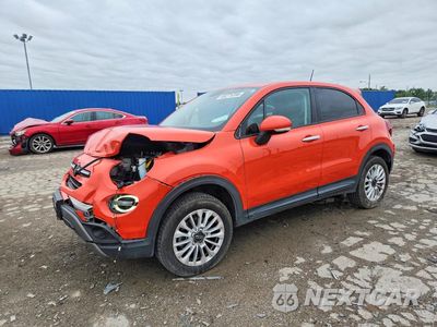2019 FIAT 500X TREKKING ZFBNFYB15KP771818 - główne zdjęcie licytacji z USA - miniatura