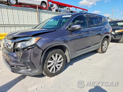 2020 HONDA PILOT EXL 5FNYF5H59LB026701 - główne zdjęcie licytacji z USA - miniatura