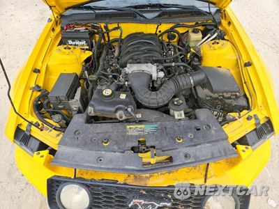 Zdjęcie 11 z 12 samochodu: 2005 FORD MUSTANG GT VIN:1ZVFT85H055205324 - miniatura