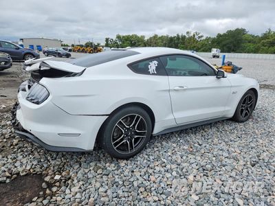 Trzecie zdjęcie samochodu z tyłu: 2019 FORD MUSTANG GT VIN:1FA6P8CF5K5125091 - miniatura