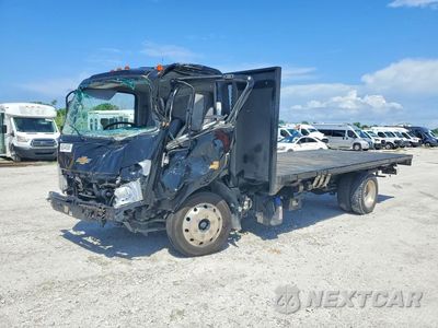2021 CHEVROLET 4500HD JALCDW165M7006900 - główne zdjęcie licytacji z USA - miniatura