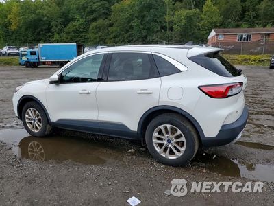 Drugie zdjęcie samochodu z przodu: 2020 FORD ESCAPE SE VIN:1FMCU9G65LUC32165 - miniatura
