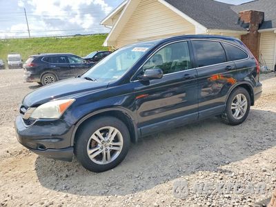 2010 HONDA CR-V EXL 5J6RE4H7XAL083111 - główne zdjęcie licytacji z USA - miniatura