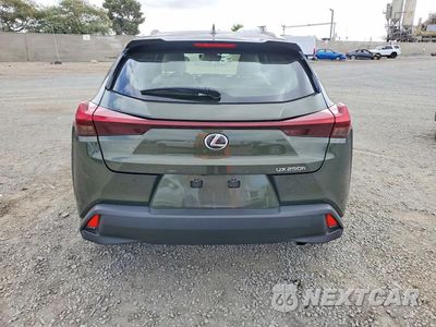 Zdjęcie 6 z 12 samochodu: 2023 LEXUS UX 250H BASE VIN:JTHX6JBH5P2146980 - miniatura