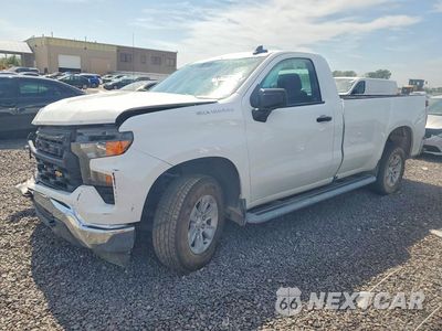 2024 CHEVROLET SILVERADO C1500 3GCNAAED2RG320272 - główne zdjęcie licytacji z USA - miniatura