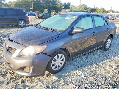 2010 TOYOTA COROLLA LE 1NXBU4EE3AZ307158 - główne zdjęcie licytacji z USA - miniatura