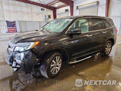 2022 HONDA PILOT EXL 5FNYF6H50NB038406 - główne zdjęcie licytacji z USA - miniatura