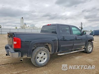 Trzecie zdjęcie samochodu z tyłu: 2013 CHEVROLET SILVERADO K1500 LT VIN:3GCPKSE77DG216360 - miniatura
