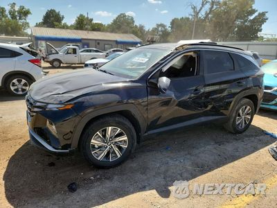 2023 HYUNDAI TUCSON BLUE KM8JBCA17PU090530 - główne zdjęcie licytacji z USA - miniatura