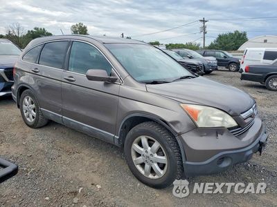 Czwarte zdjęcie samochodu z boku: 2009 HONDA CR-V EXL VIN:5J6RE48709L055667 - miniatura