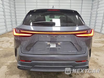Zdjęcie 6 z 12 samochodu: 2023 LEXUS NX 250 VIN:JTJADCAZ8P5013130 - miniatura
