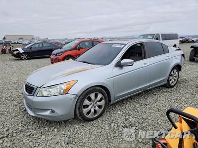 2008 HONDA ACCORD EXL 1HGCP36888A048036 - główne zdjęcie licytacji z USA - miniatura