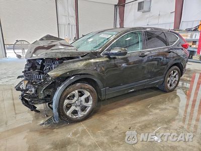 2019 HONDA CR-V EX 2HKRW2H50KH602615 - główne zdjęcie licytacji z USA - miniatura