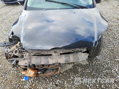 Zdjęcie 11 z 12 samochodu: 2013 FORD FOCUS SE VIN:1FADP3F21DL177920 - miniatura