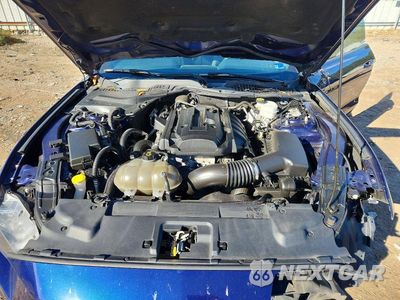 Zdjęcie 11 z 12 samochodu: 2019 FORD MUSTANG VIN:1FA6P8TH7K5129810 - miniatura