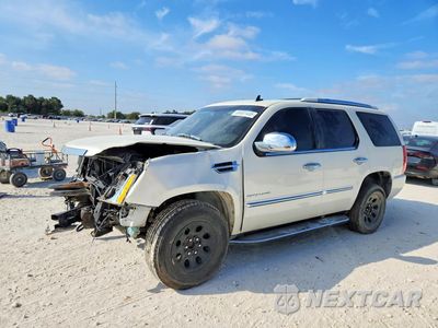 2014 CADILLAC ESCALADE LUXURY 1GYS3BEF3ER165546 - główne zdjęcie licytacji z USA - miniatura