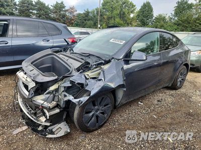 2025 TESLA MODEL Y 7SAYGDEE0SF223494 - główne zdjęcie licytacji z USA - miniatura
