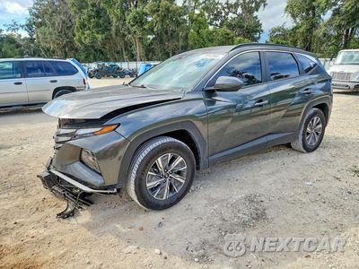 2023 HYUNDAI TUCSON BLUE KM8JBCA16PU094813 - główne zdjęcie licytacji z USA - miniatura