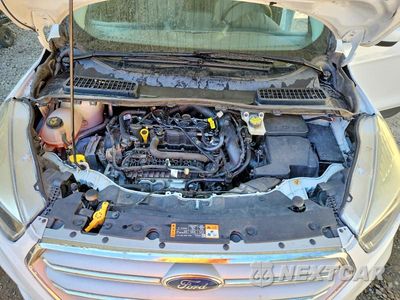 Zdjęcie 12 z 13 samochodu: 2019 FORD ESCAPE SE VIN:1FMCU0GD2KUA19585 - miniatura