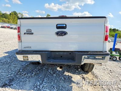 Zdjęcie 6 z 12 samochodu: 2010 FORD F150 SUPERCREW VIN:1FTEW1C85AFB03604 - miniatura
