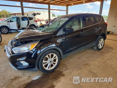 2019 FORD ESCAPE SE 1FMCU0GDXKUC19243 - główne zdjęcie licytacji z USA - miniatura