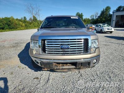 Piąte zdjęcie samochodu w środku: 2012 FORD F150 SUPERCREW VIN:1FTFW1CT2CFA65812 - miniatura