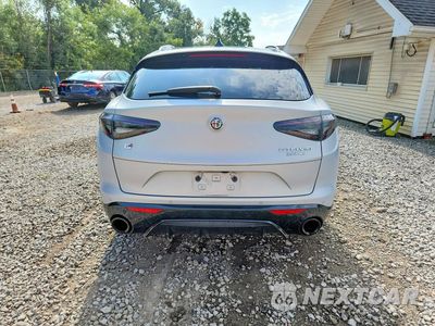 Zdjęcie 6 z 13 samochodu: 2024 ALFA ROMEO STELVIO TI VIN:ZASPAKBN6R7D76939 - miniatura