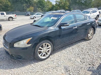 2009 NISSAN MAXIMA 3.5 S 1N4AA51E69C827561 - główne zdjęcie licytacji z USA - miniatura