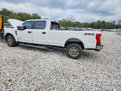 Drugie zdjęcie samochodu z przodu: 2019 FORD F350 SUPER DUTY VIN:1FT8W3BT2KED51122 - miniatura