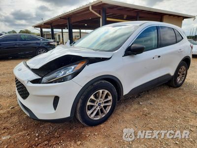 2022 FORD ESCAPE SE 1FMCU0G68NUB54222 - główne zdjęcie licytacji z USA - miniatura