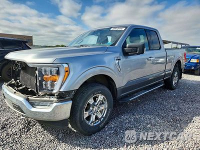 2021 FORD F150 SUPER CAB 1FTFX1E54MKD82026 - główne zdjęcie licytacji z USA - miniatura