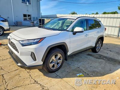 2025 TOYOTA RAV4 XLE 2T3P1RFV3SW599543 - główne zdjęcie licytacji z USA - miniatura