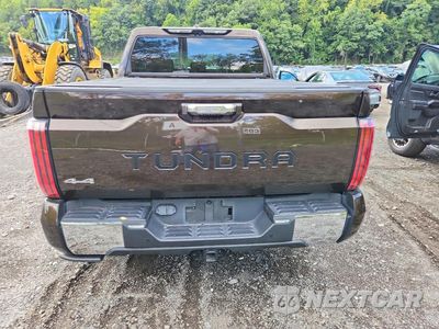Zdjęcie 6 z 12 samochodu: 2024 TOYOTA TUNDRA 1794 EDITION HV VIN:5TFMC5DB7RX048701 - miniatura